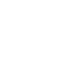 iPhone repair